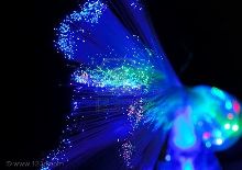 Fibre ottiche
