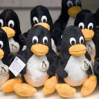 Linux, ovvero l’open source per eccellenza