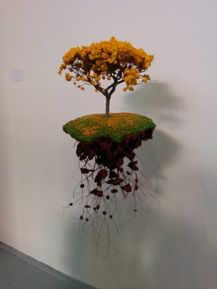 Foto: una natura sospesa di Jorge Mayet , Arte Fiera Bologna 2016