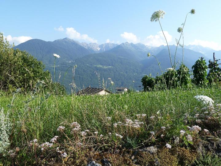 TEGLIO TEATRO FESTIVAL VALTELLINA 2019