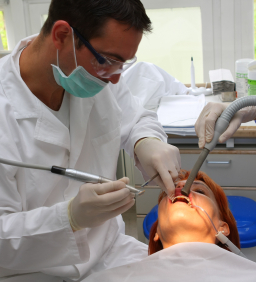 Come rigenerare i denti con le staminali