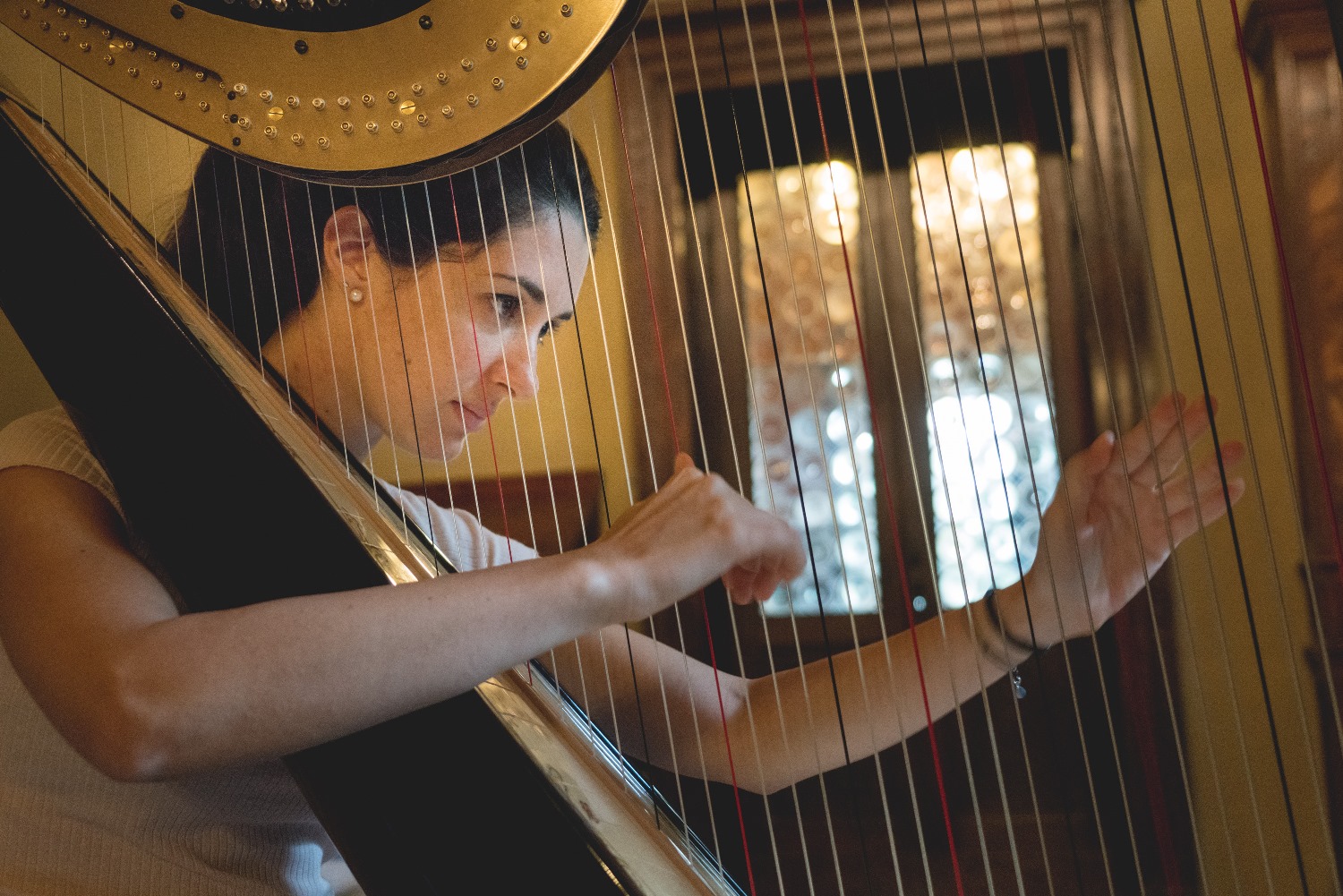 FESTIVAL INTERNAZIONALE DI STUDIO E CONCERTI – Le arpe risuonano al Castello di Padernello