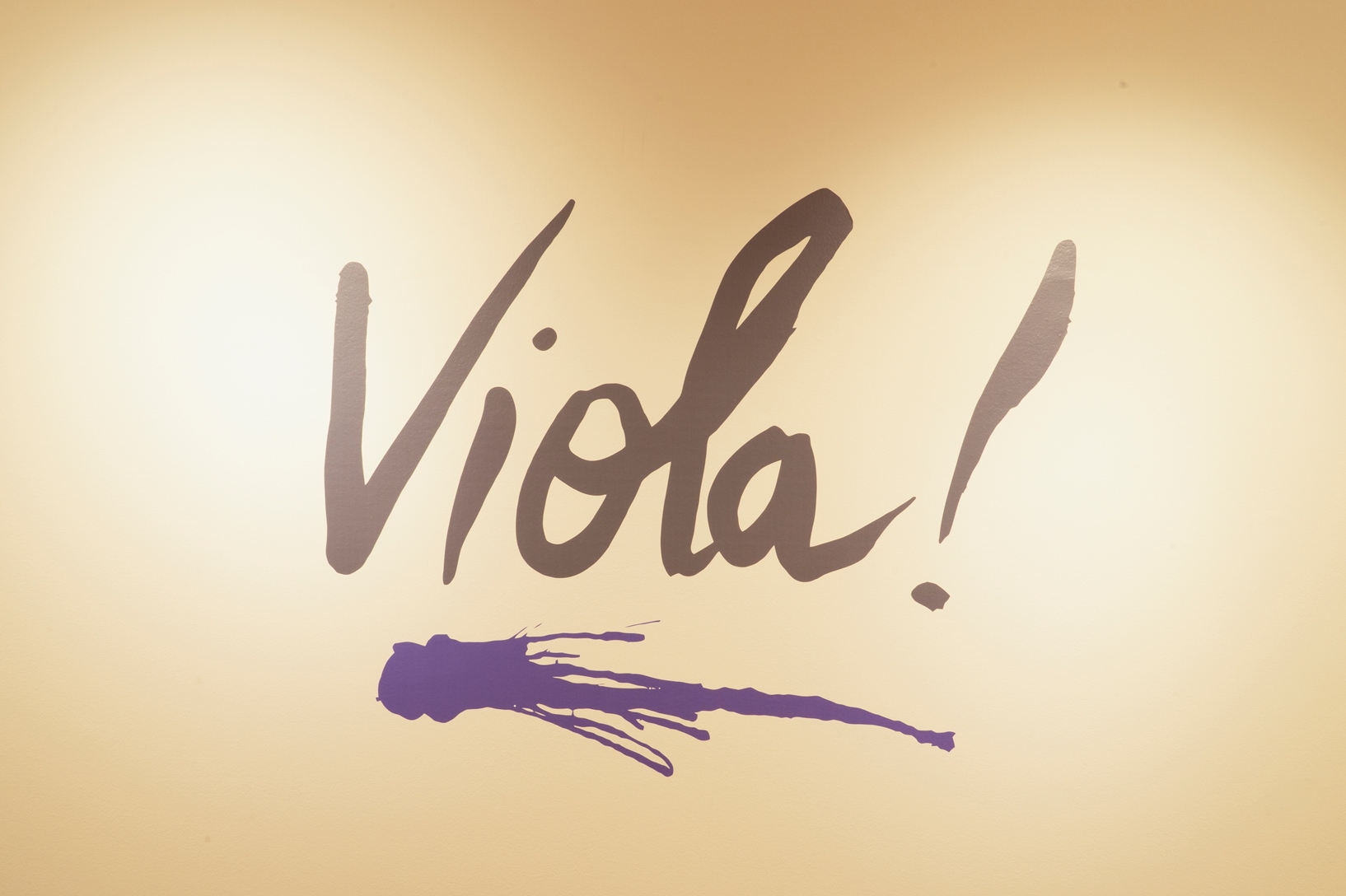 Foto: Viola! Pablo Echaurren e gli indiani metropolitani © Ornella De Carlo - Courtesy Settore Musei Civici Bologna | MAMbo – Museo d’Arte Moderna di Bologna