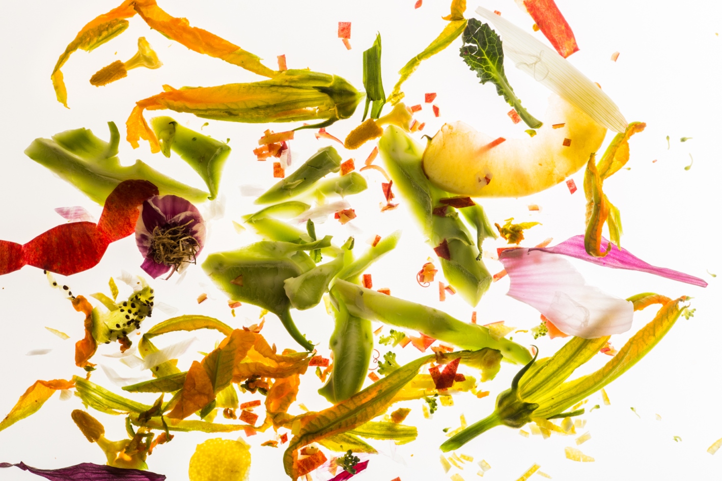CONNESSIONI – Arte, Design, Food