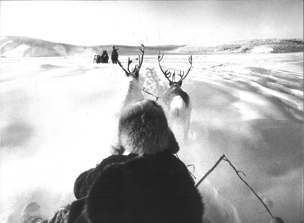 MARIO DE BIASI – Naturalis Historia