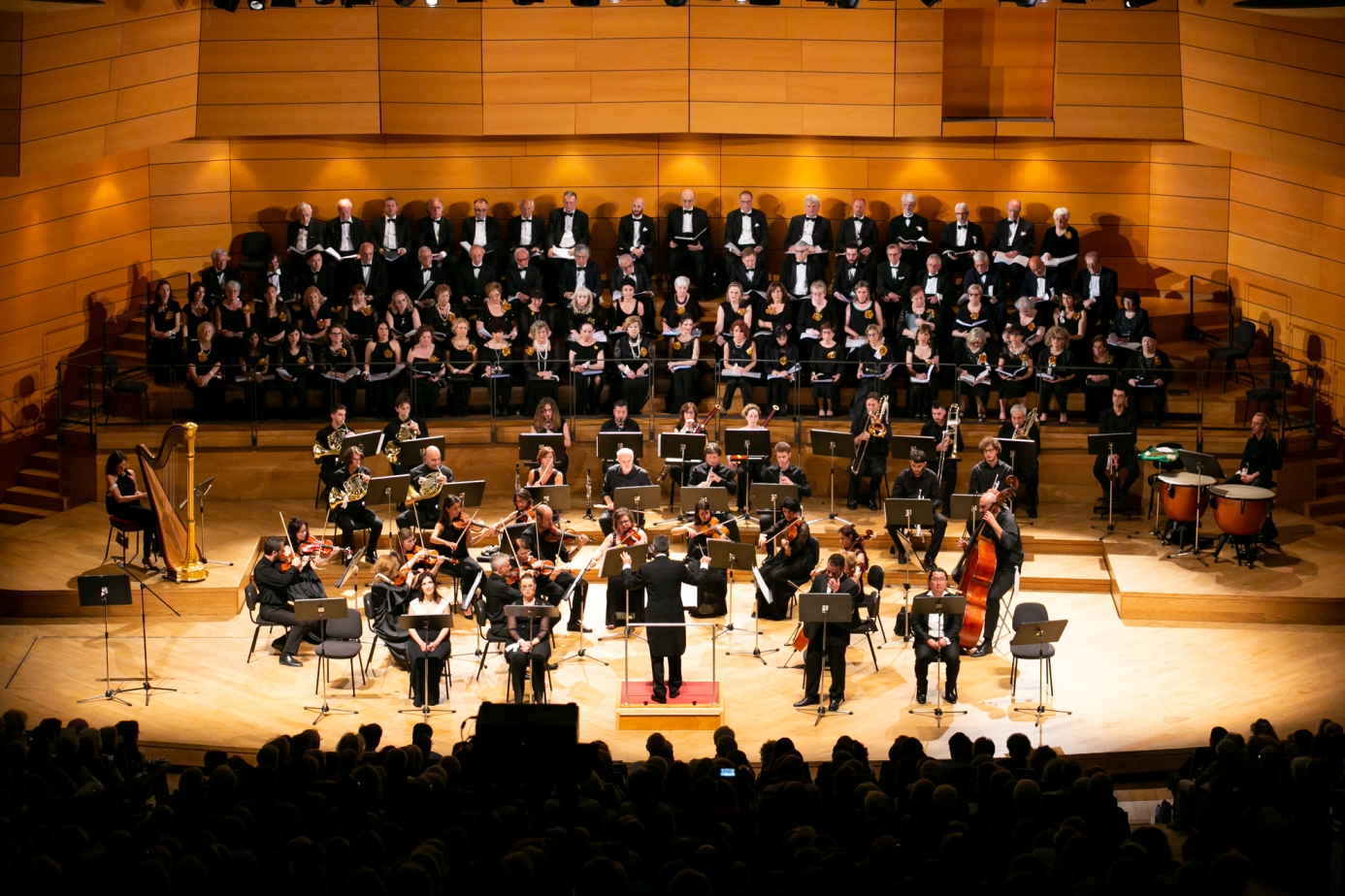 Foto © Orchestra Sinfonica di Milano (Teatro Dal verme)