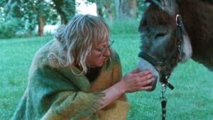 Foto: Donkey Days (frame) © TorinoFilmLab
