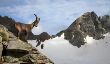 Il richiamo della Valtellina: il canto dell’uomo e i suoni della natura
