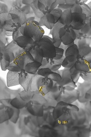 Foto © Anna Caterina Masotti 