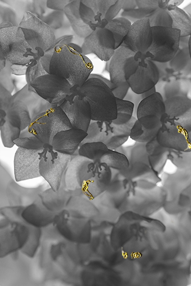 Foto © Anna Caterina Masotti