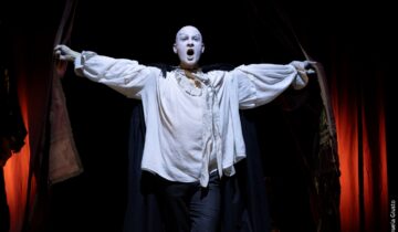 Mephisto. Romanzo di una carriera