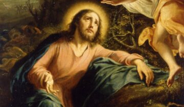 IL RAGGIO DI SAVITRI – Sacrum Fàcere