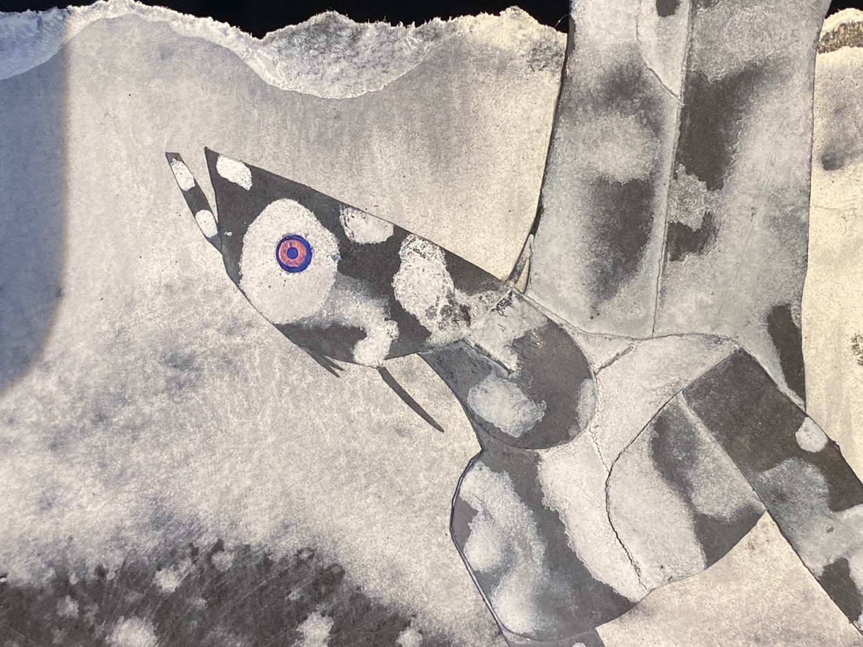 Foto: Pietro Antolini – Leporelli © Yellow Submarine. Il mare in bianco e nero – 5/C Lab Bologna