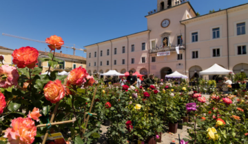 Fiori di libertà. Radici di speranza