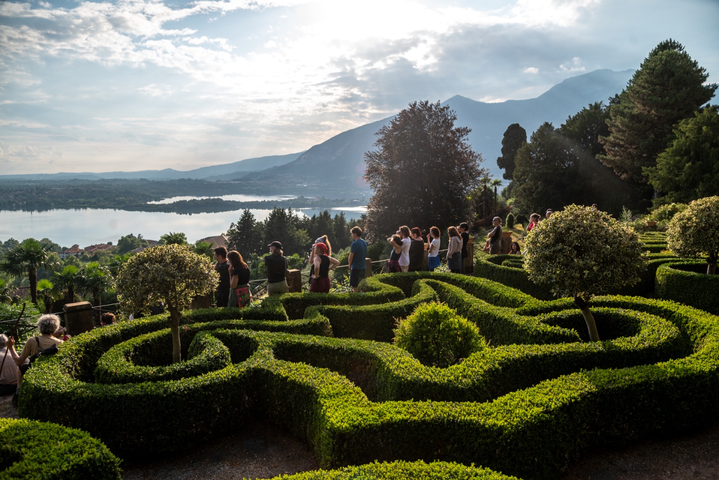 Foto © Alvise Crovato – Il Giardino delle Esperidi 2026