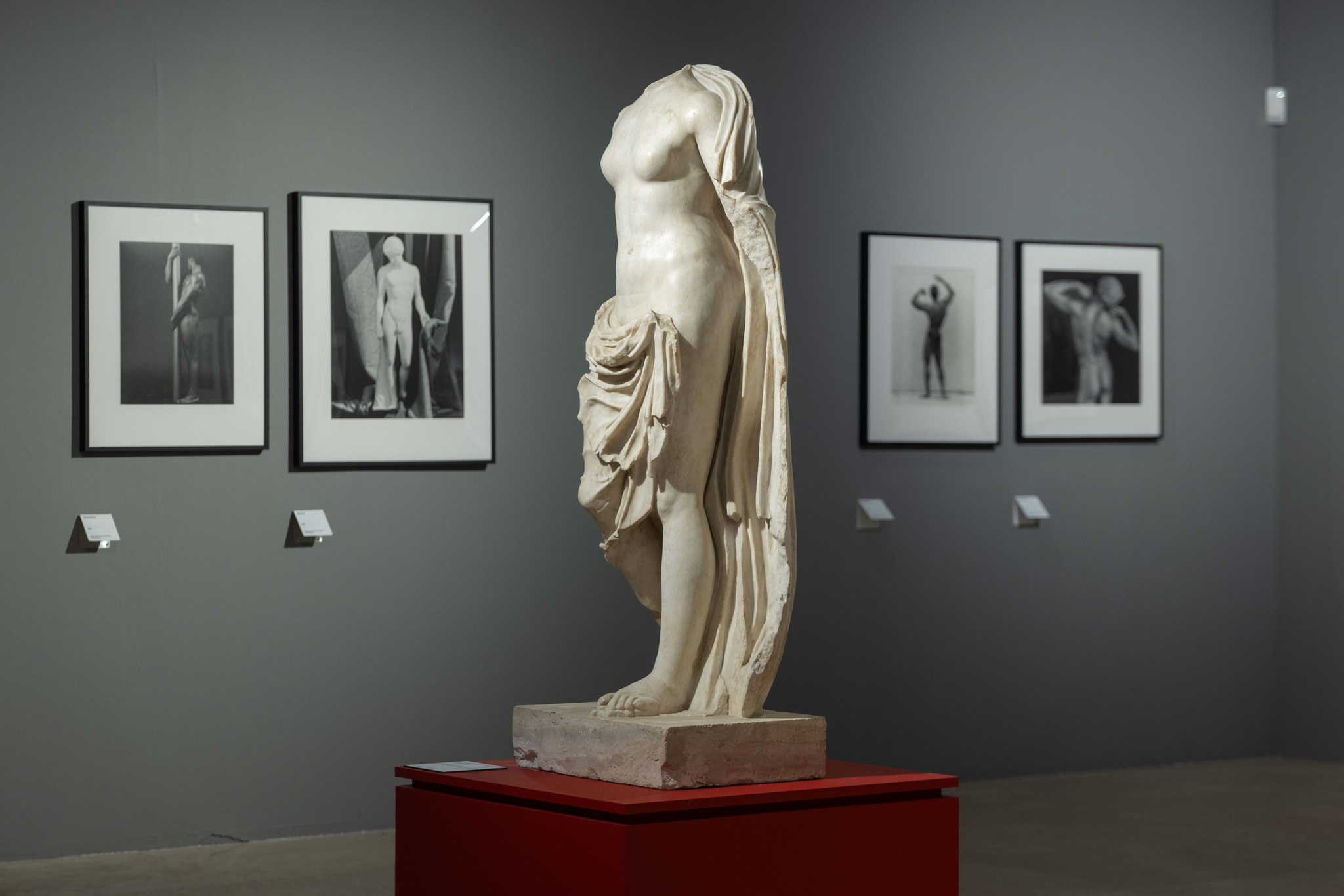 Foto: Ara Pacis - Robert Mapplethorpe © Wps